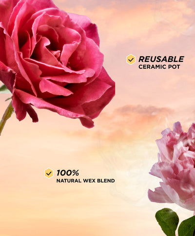 Rose Candle - Benefits 1