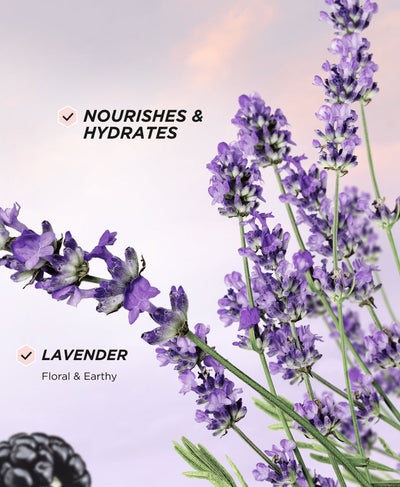 Perfume Lavender - Benefits 3