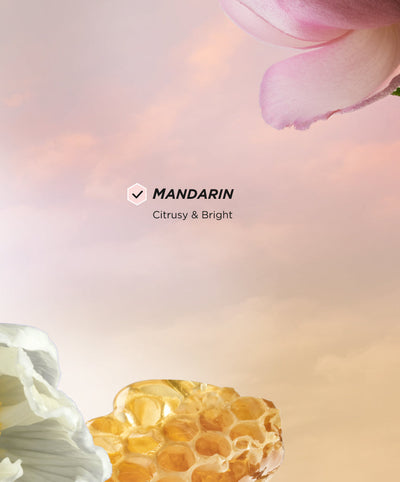 Perfume Wildflower Honey - Benefits 3