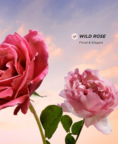 Perfume Wild Rose - Benefits 3