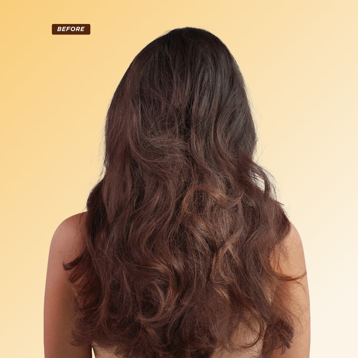 Honey Gloss Hydration Trio