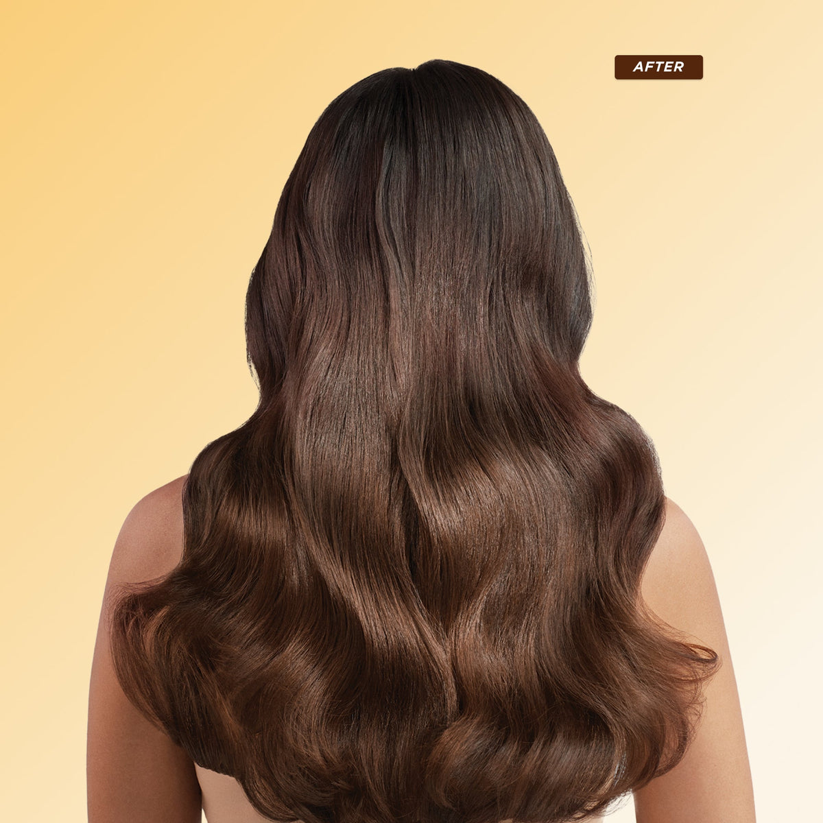 Honey Gloss Hydration Trio