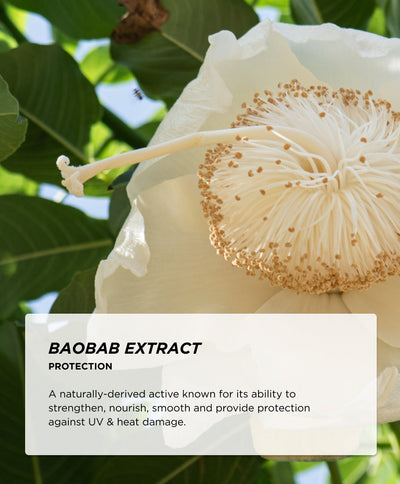 Ingredients - Baobab Extract