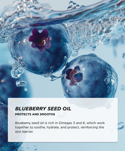 Ingredients - Blueberry Seed Oil