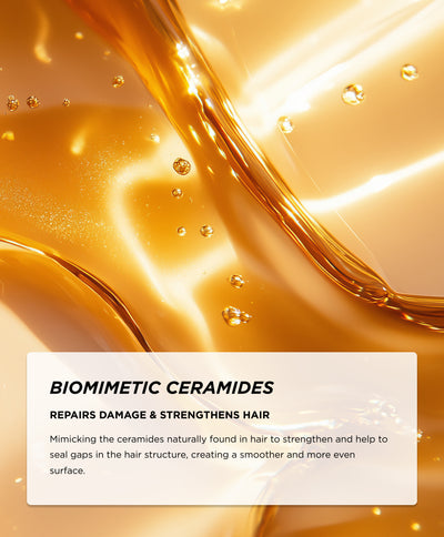 Ingredients - Ceramides
