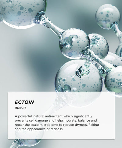 Ingredients - Ectoin