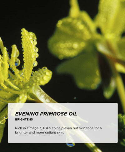 Ingredients - Evening Primrose Oil