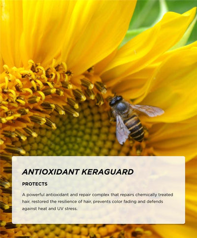 Ingredients - Keraguard