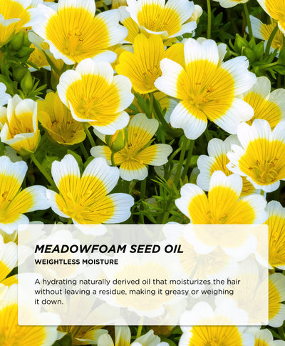 Ingredients - Meadowfoam Oil
