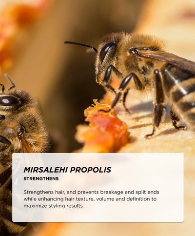 Ingredients - Mirsalehi Propolis