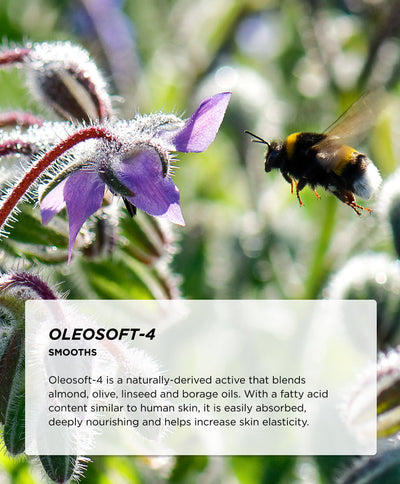 Ingredients - Oleosoft-4