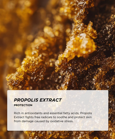 Ingredients - Propolis Extract