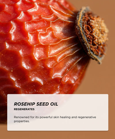 Ingredients - Rosehip Seed Oil