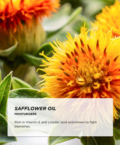 Ingredients - Safflower Oil