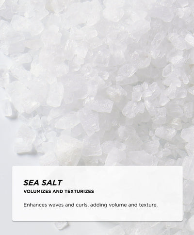 Ingredients - Sea Salt