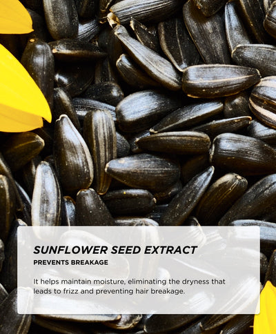 Ingredients - Sunflower Seed Extract